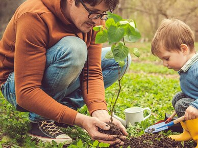 Ein Mann und ein kleines Kind pflanzen einen Baum in den Boden. 